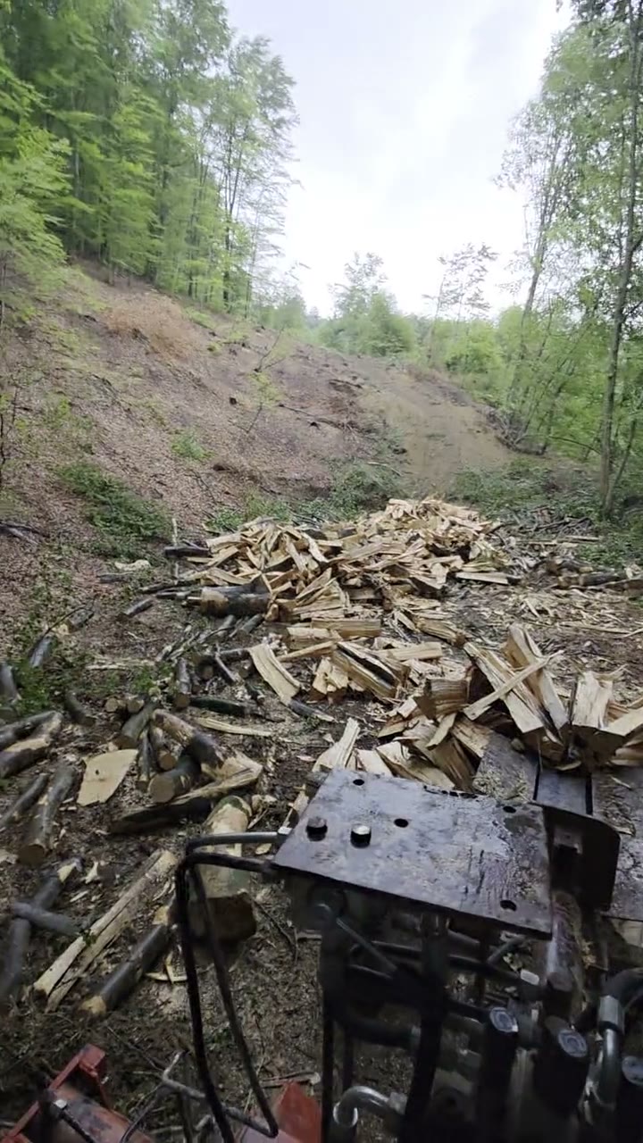 Video rada u proizvodnji drvenog ugljena